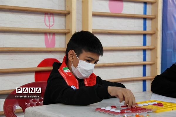 رقابت 900 دانش‌آموز ناحیه چهار شیراز در المپیاد بازی‌های فکری رویش