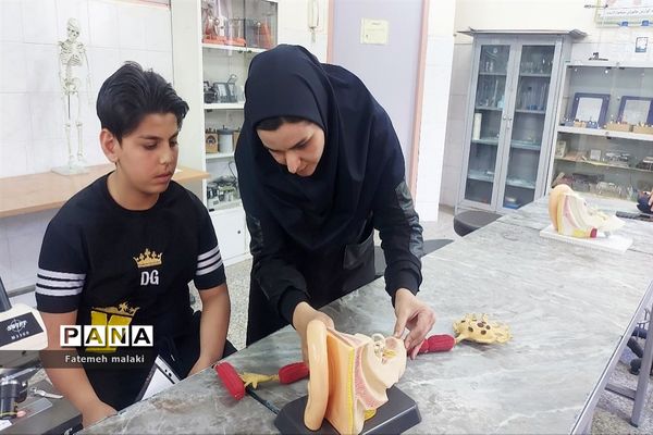 مسابقات علمی و تقدیر از رتبه‌های برتر در پژوهش سرای بوعلی سینا ملارد