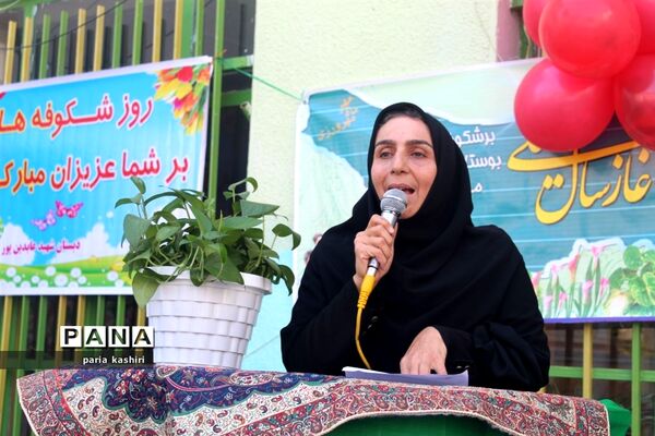جشن شکوفه‌ها در ساری