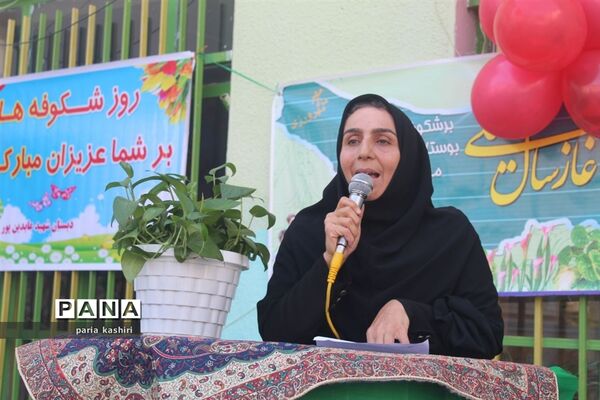 جشن شکوفه‌ها در ساری