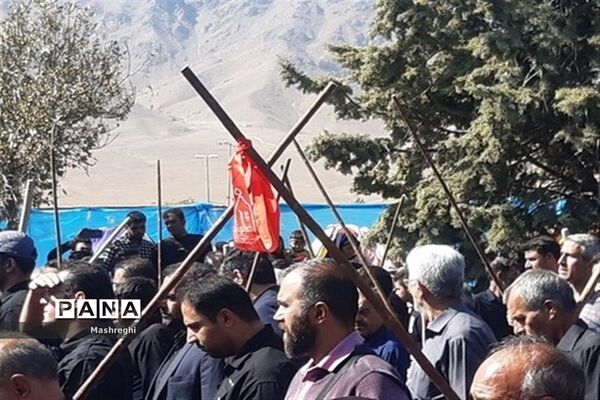مراسم باشکوه سنتی مذهبی قالیشویان فین کاشان در مشهد اردهال