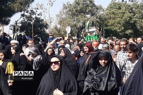 مراسم باشکوه سنتی مذهبی قالیشویان فین کاشان در مشهد اردهال