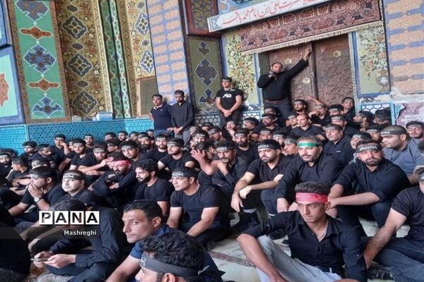 مراسم باشکوه سنتی مذهبی قالیشویان فین کاشان در مشهد اردهال