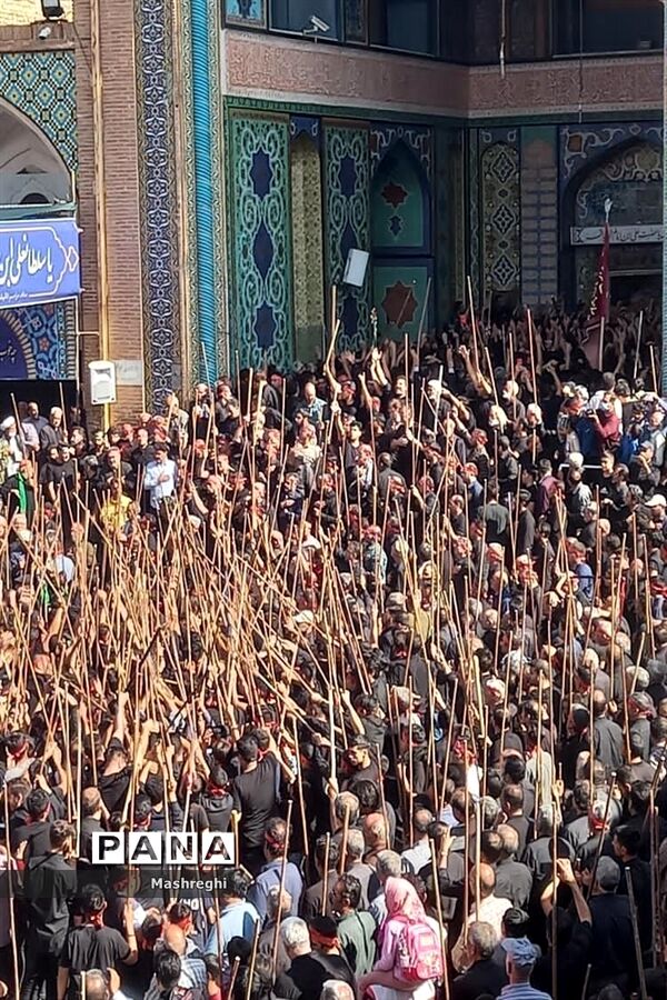 مراسم باشکوه سنتی مذهبی قالیشویان فین کاشان در مشهد اردهال