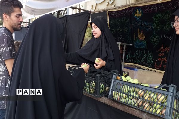 برپایی موکب فرهنگی و مذهبی با همکاری طرح  گام‌های عاشقی ناحیه ۴ و ۶ مشهد مقدس