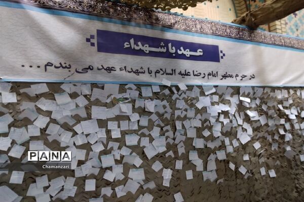بزرگترین اجتماع دوست‌داران امام رضا(ع) در مشهد