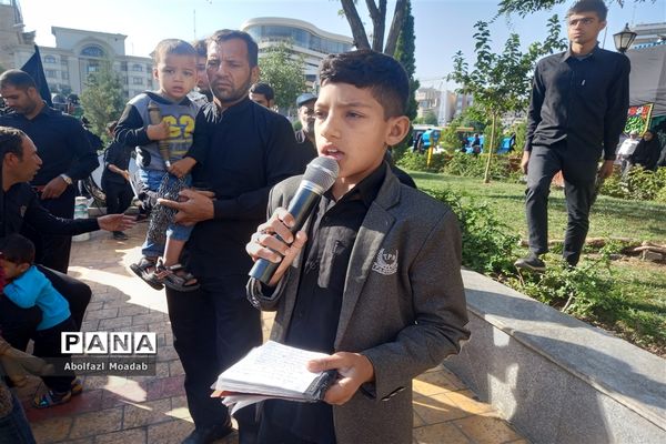 دسته‌های عزاداری مشهد در روز شهادت امام رضا(ع)