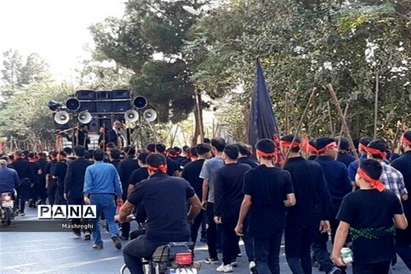 کاروان پیاده وارثان حماسه خونین اردهال رهسپار مشهد اردهال کاشان شد