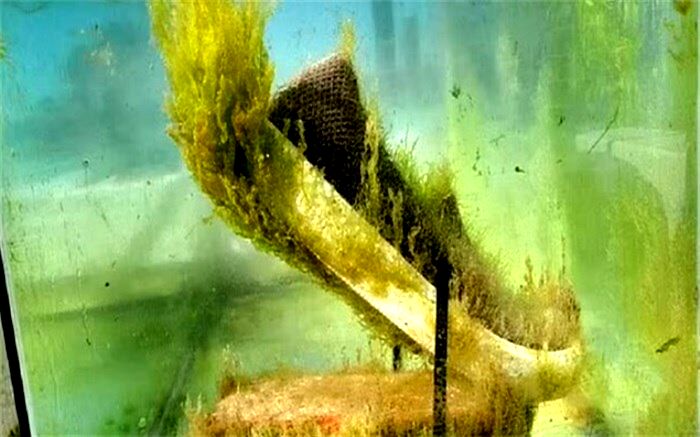 ابداع کفشی که زیر آب تجزیه می‌شود