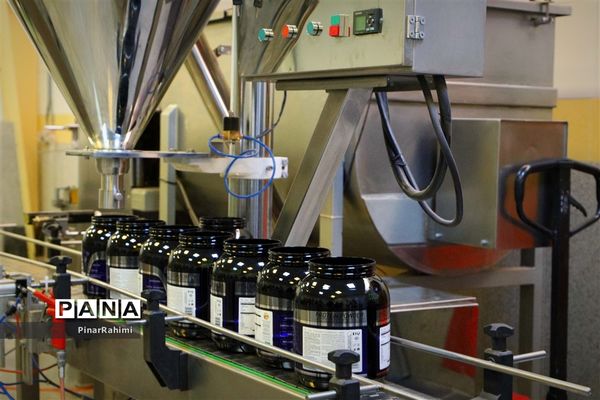 از تولید تا فرآوری تخم مرغ