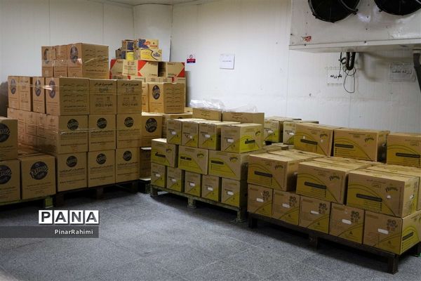 از تولید تا فرآوری تخم مرغ