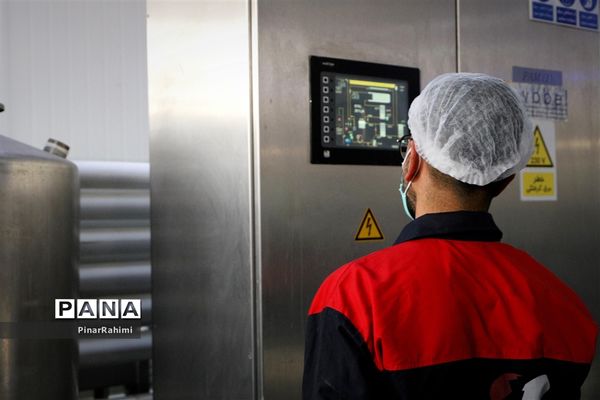 از تولید تا فرآوری تخم مرغ