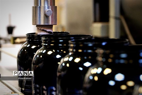 از تولید تا فرآوری تخم مرغ