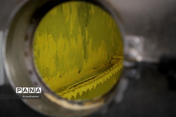 از تولید تا فرآوری تخم مرغ