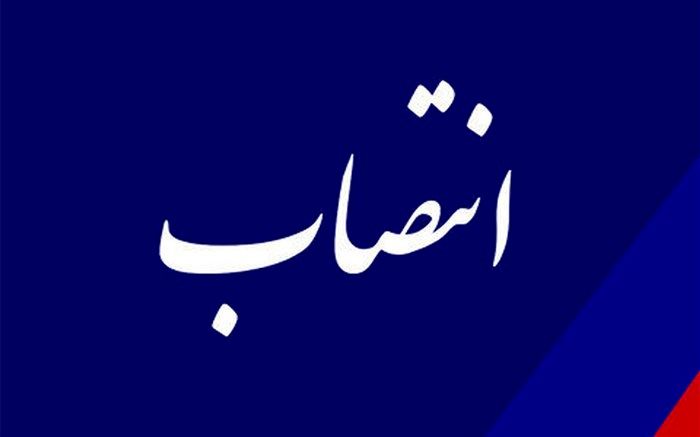 دبیر شورای آموزش پزشکی عمومی منصوب شد
