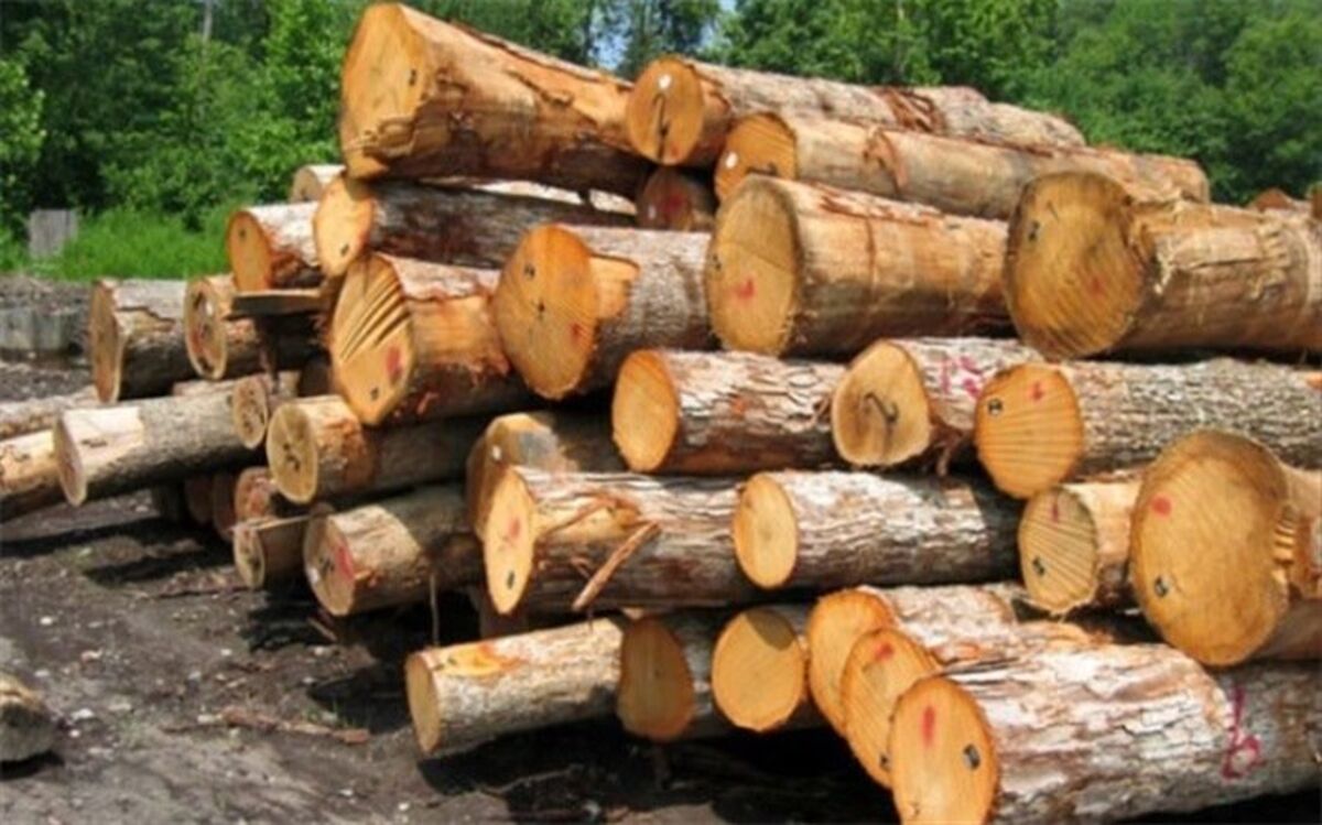 کشف و ضبط ۳۵۰۰ متر مکعب چوب از قاچاقچیان