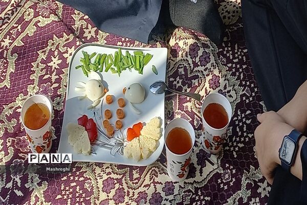 سفره صبحانه نشاط و شادی در دبیرستان شاهد مسفروش کاشان