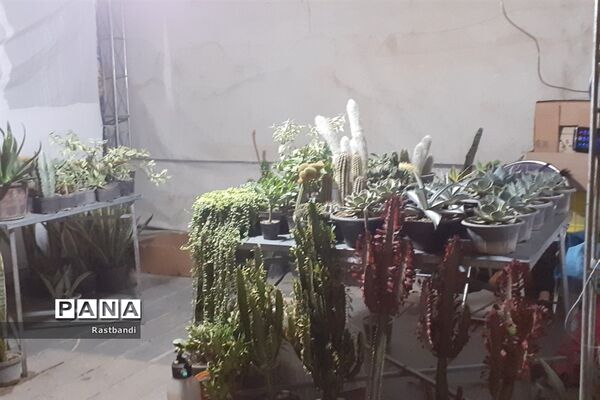 جشنواره وحدت اقوام ایرانی در دریاچه شهدای خلیج فارس