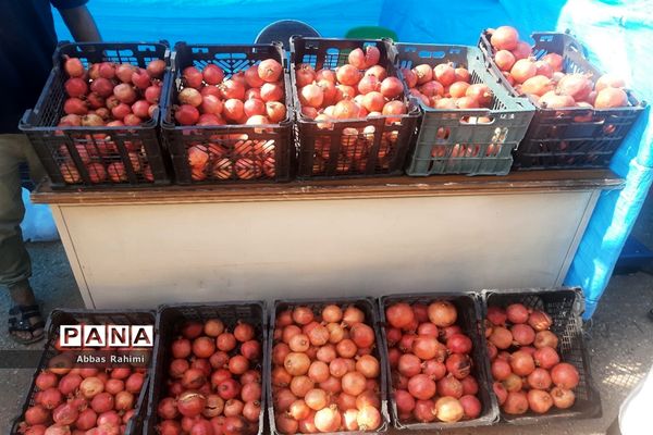 افتتاحیه سومین جشنواره انار در پاکدشت