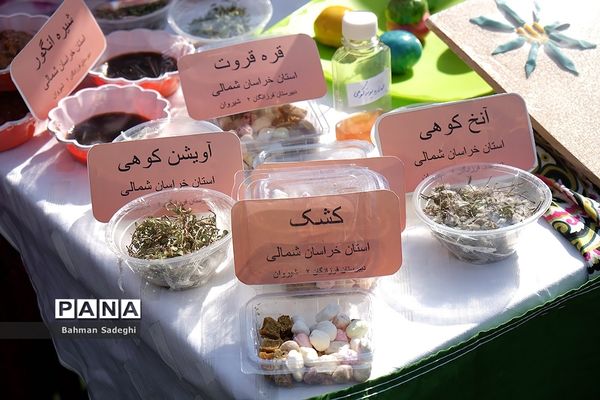 اختتامیه پنجمین کارسوق ملی مهندسی ژنتیک