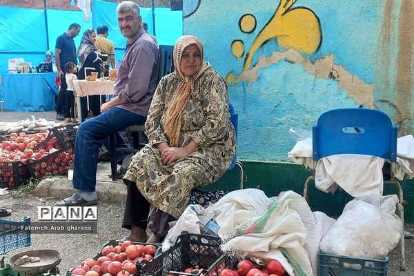 سومین دوره جشنواره انار در پاکدشت