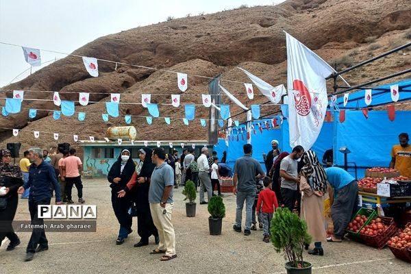 سومین دوره جشنواره انار در پاکدشت
