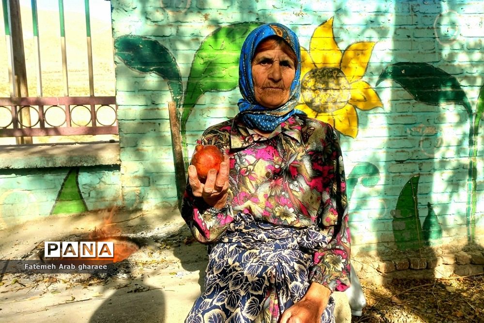 سومین دوره جشنواره انار در پاکدشت