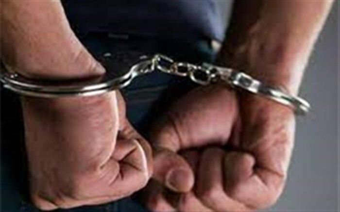 زورگیری از خانه‌های ویلایی با اسلحه جنگی؛ زوج موبایل‌قاپ بازداشت شدند