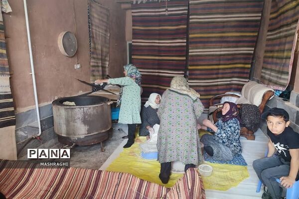 نخستین همایش «بازنمایی هویت روستایی» در شهرستان کاشان