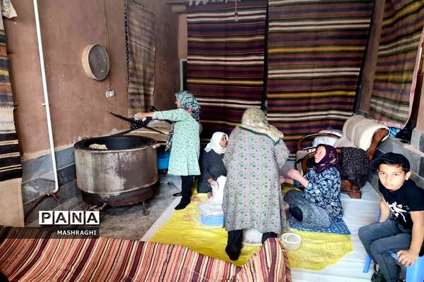 نخستین همایش «بازنمایی هویت روستایی» در شهرستان کاشان