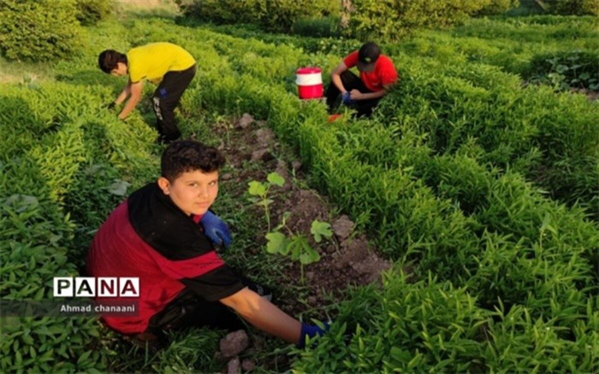 دردسرهای یکپارچه‌سازی حساب مدارس برای هنرستان‌های کشاورزی