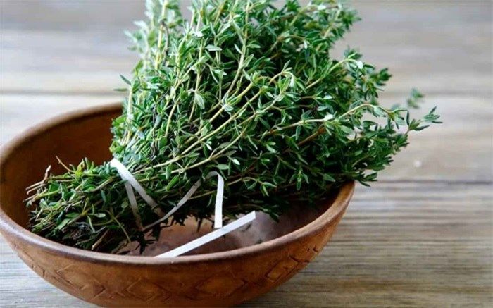 خواص آویشن برای ریه، موها، حافظه و درمان سرفه