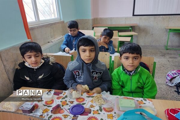 روز غذای سالم در دبستان ولی‌محمدی صفادشت