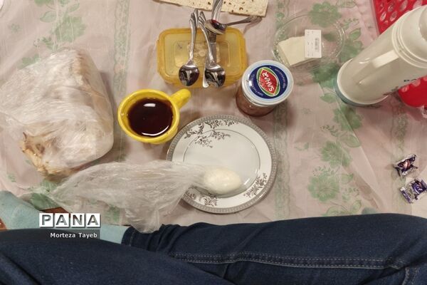 روز غذای سالم در دبستان برکت رضوی ملارد
