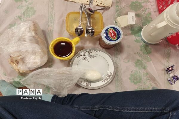 روز غذای سالم در دبستان برکت رضوی ملارد
