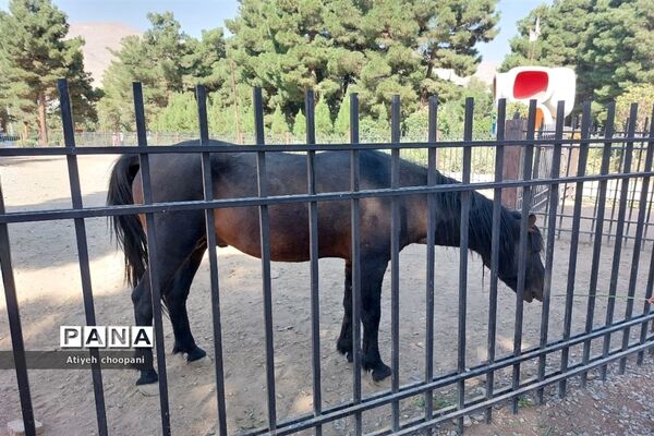 آشنایی با مجموعه تفریحی دریاچه چیتگر