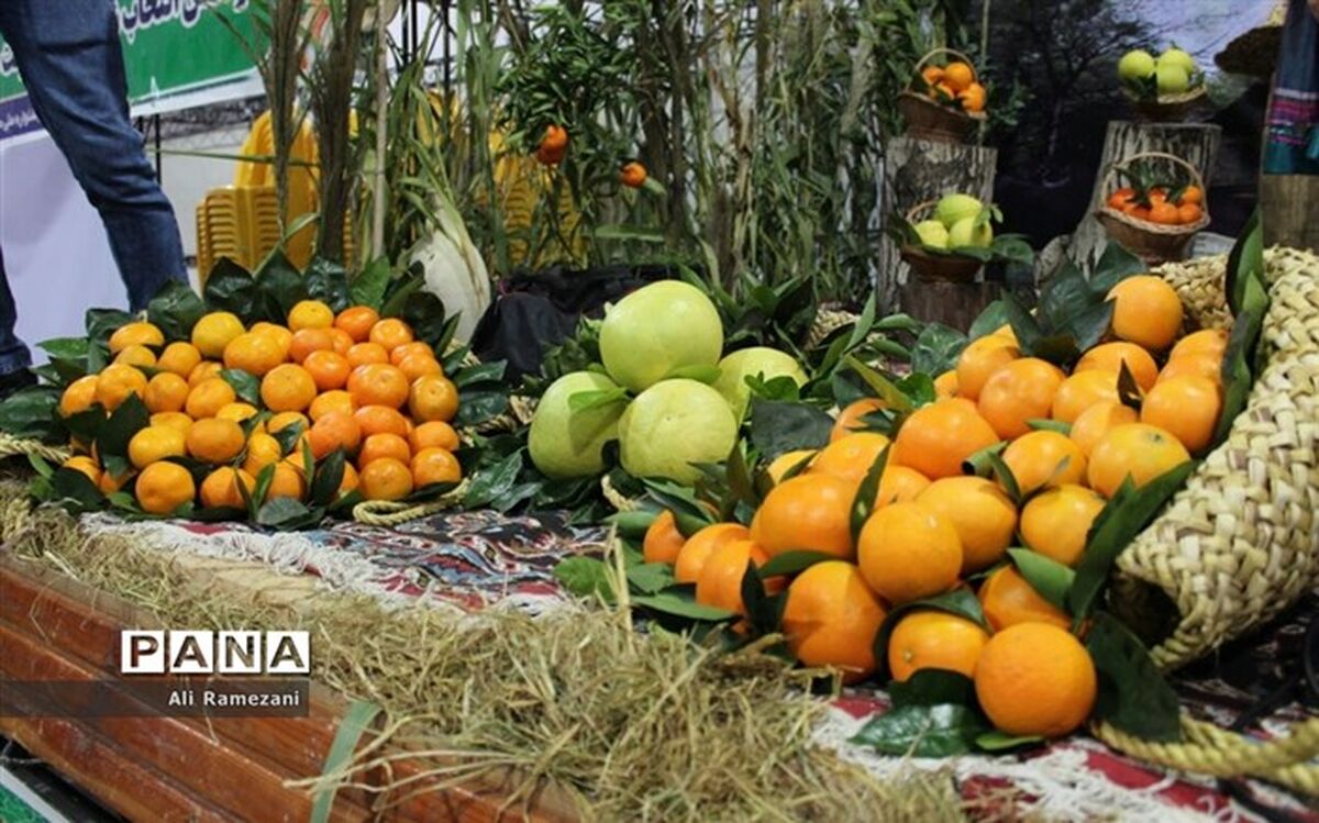 7 دلیل مهم برای مصرف مرکبات