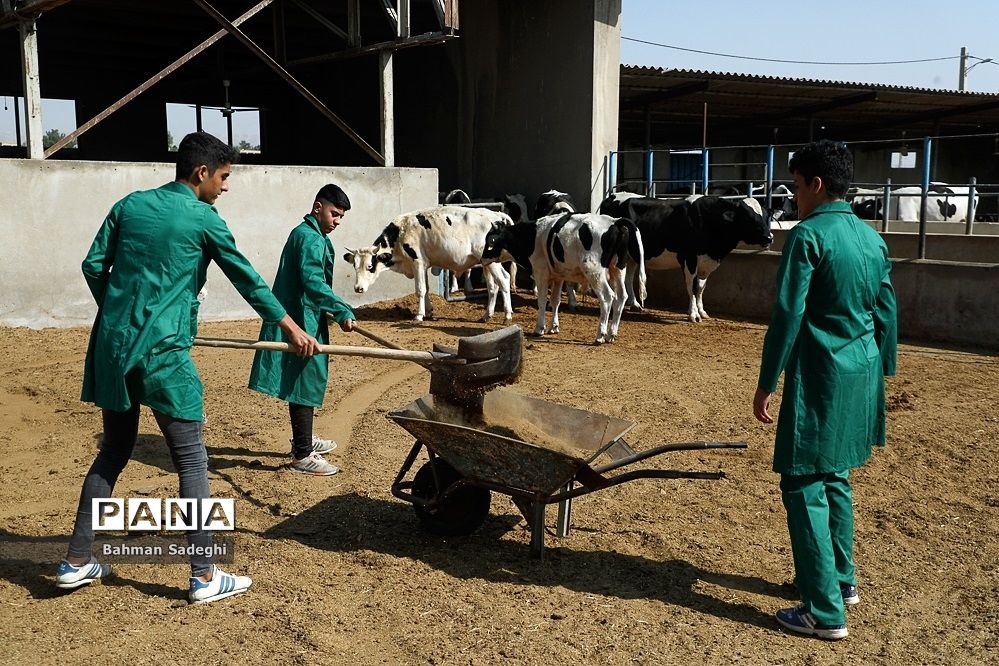 چرا هنرستان‌ها به‌جای مهارت، تئوری‌محور شده‌اند