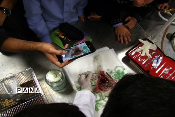 گرامیداشت روز آزمایشگاه در مدارس قم