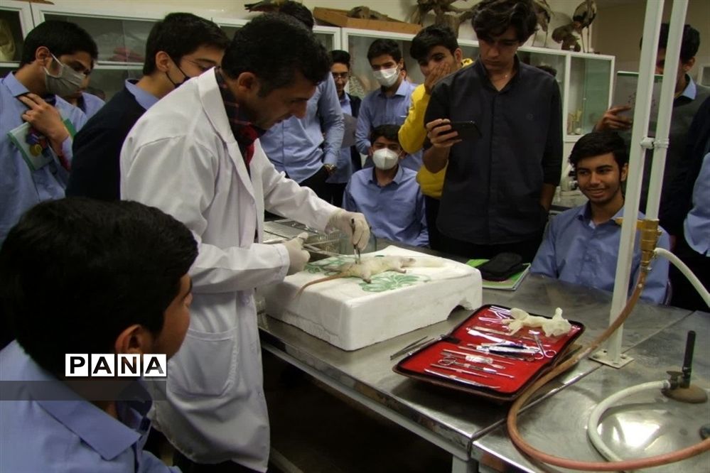 گرامیداشت روز آزمایشگاه در مدارس قم