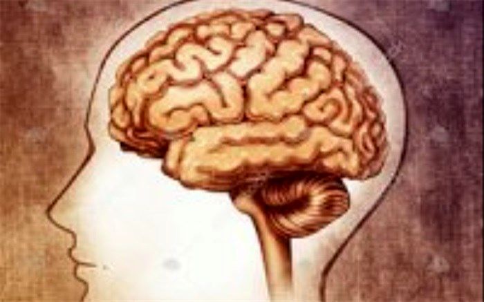 چطور بفهمیم مغز دچار عفونت شده است؟