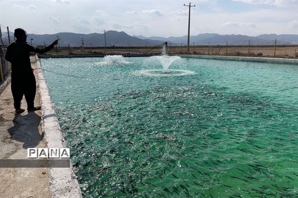 طرح روستا گردی دانش‌آموزان در ابرکوه