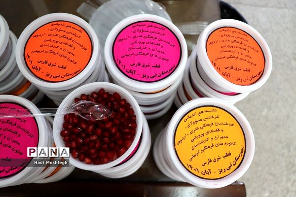 برگزاری نشست قطبی اداره فرهنگی هنری، اردوها و فضاهای پرورشی فارس