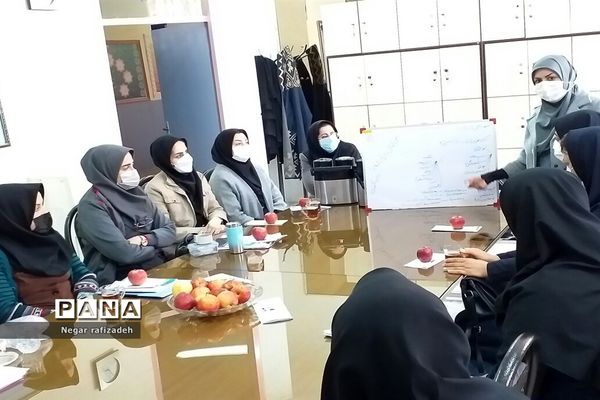 کارگاه آموزشی با موضوع دیابت در مدرسه شهید‌همت ملارد