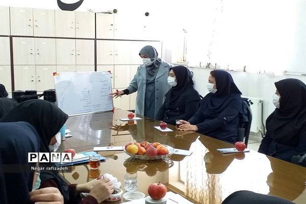 کارگاه آموزشی با موضوع دیابت در مدرسه شهید‌همت ملارد