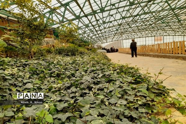 اردوی دانش‌آموزان شاهد رضویان قم در باغ پرندگان