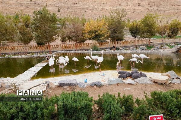 اردوی دانش‌آموزان شاهد رضویان قم در باغ پرندگان