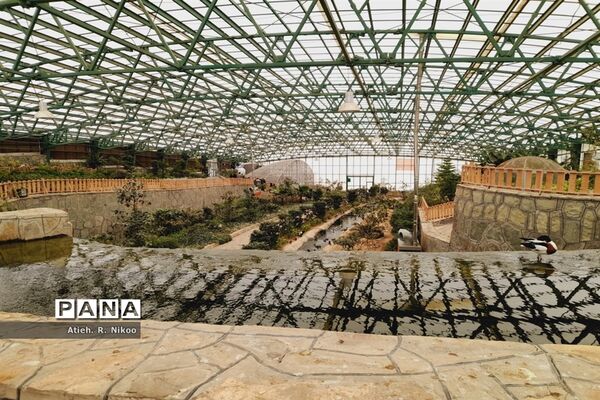 اردوی دانش‌آموزان شاهد رضویان قم در باغ پرندگان