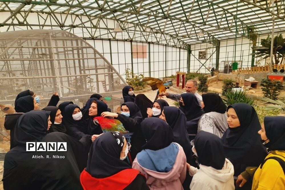 اردوی دانش‌آموزان شاهد رضویان قم در باغ پرندگان