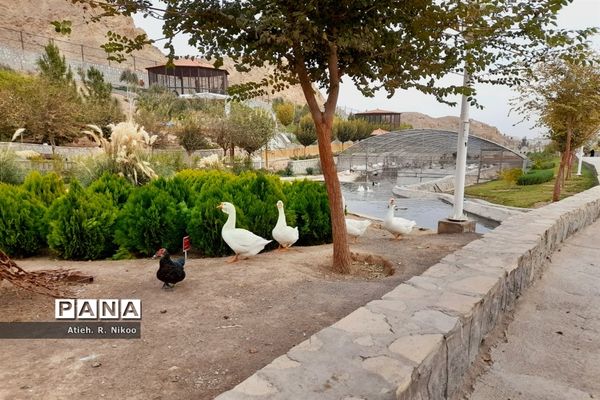 اردوی دانش‌آموزان شاهد رضویان قم در باغ پرندگان